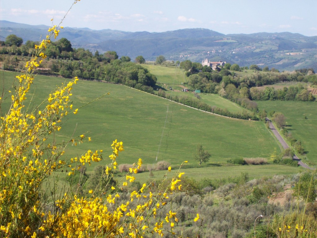 panorama da porticciola 4